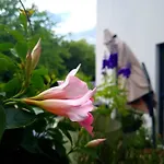 La Cosy - Votre Pause Arboree
