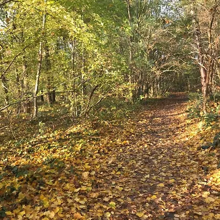 La Cosy - Votre Pause Arboree 3*