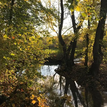 La Cosy - Votre Pause Arboree