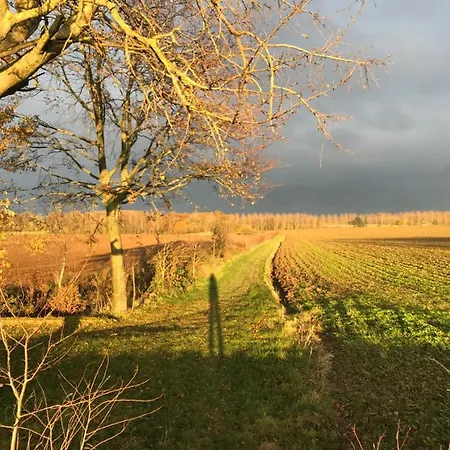 La Cosy - Votre Pause Arborée La Bruyere