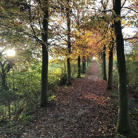 La Cosy - Votre Pause Arboree ベッド・アンド・ブレックファスト