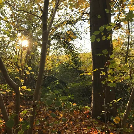 Frühstückspension La Cosy - Votre Pause Arboree 3*