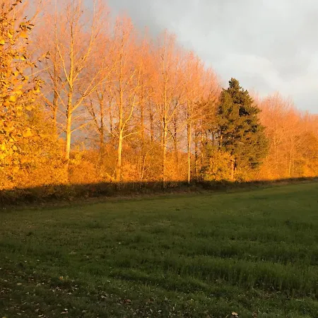 La Cosy - Votre Pause Arboree Bed & Breakfast 3*