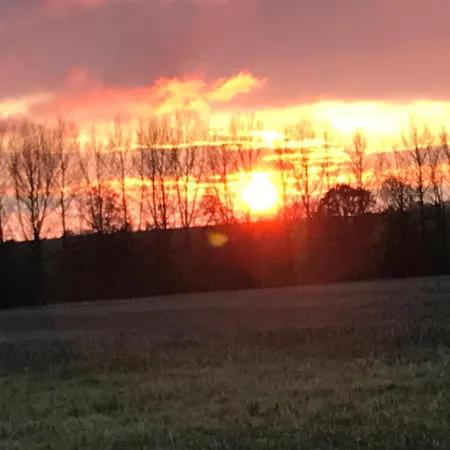 La Cosy - Votre Pause Arboree Frühstückspension La Bruyere