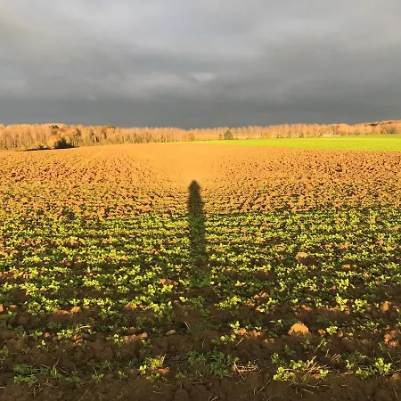 ベッド・アンド・ブレックファスト La Cosy - Votre Pause Arboree 3*